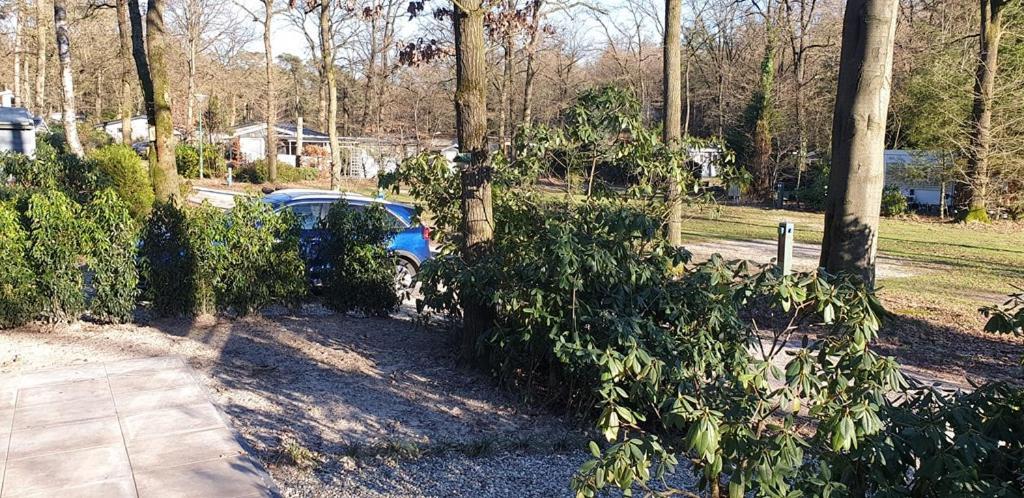 Chalet Op Vakantiepark Bonte Vlucht Doorn Exteriör bild